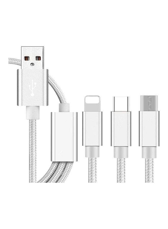 كابل شحن 3 في 1 بمنفذ Lightning/Type-C/مايكرو USB فضي - Image 1